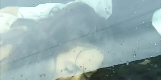 blowjob,car,sex